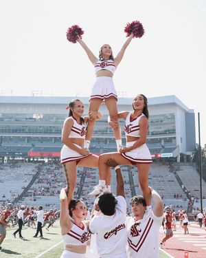 Image post by @wsucheer on Instagram