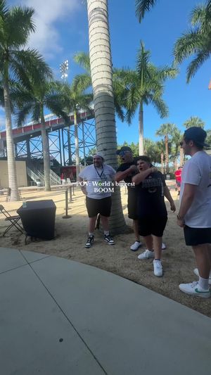 Video post by @halimacagnani on TikTok