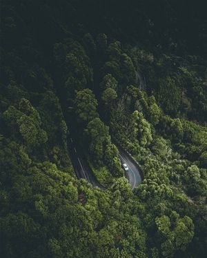 Image post by @kszczuka on Instagram
