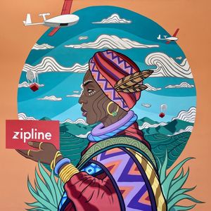 Image post by @zipline on Instagram