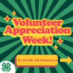 Image post by @northcarolina4h on Instagram