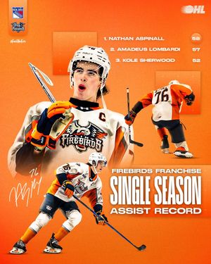 Image post by @flintfirebirds on Instagram