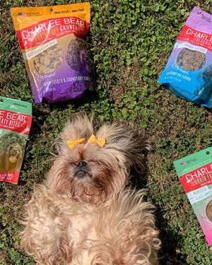 Image post by @charlee_bear_dogtreats on Instagram
