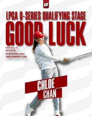 Image post by @badgerwgolf on Instagram