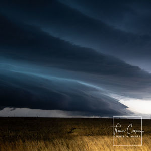 Image post by @lightboximages on Instagram