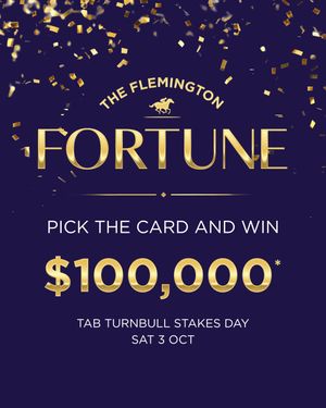 Image post by @flemingtonvrc on Instagram