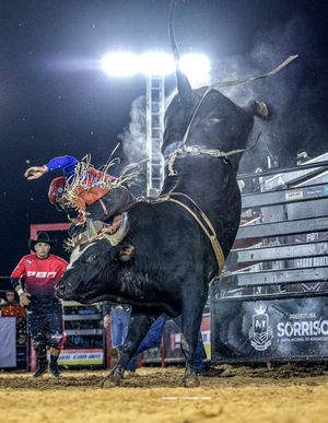 Image post by @pbrbrazil on Instagram