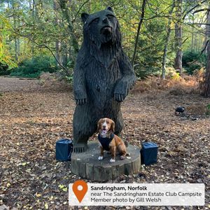 Image post by @candmclub on Instagram