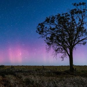 Image post by @visitmelbourne on Instagram