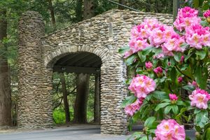 Image post by @montreat on Instagram
