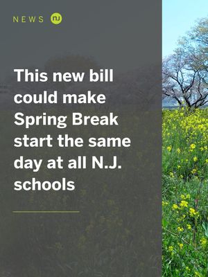 Image post by @njdotcom on Instagram