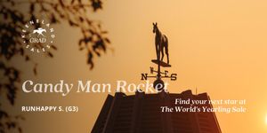 Image post by @keenelandsales on Twitter