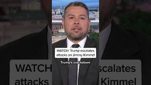 Video post by @msnbc on YouTube