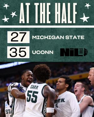 Image post by @msu.nil.store on Instagram