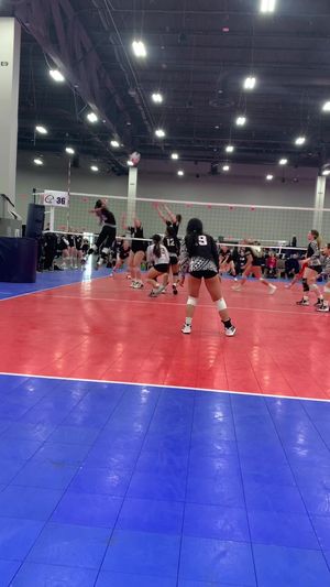 Video post by @simbavolleyball on TikTok