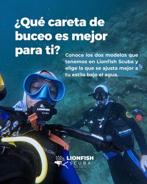Image post by @lionfishscuba on Instagram