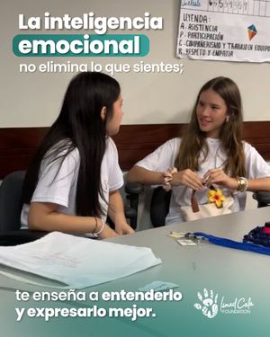 Image post by @calafoundation on Instagram