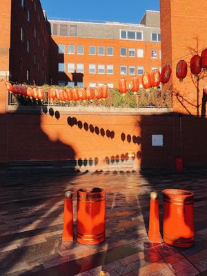 Image post by @moment on Instagram