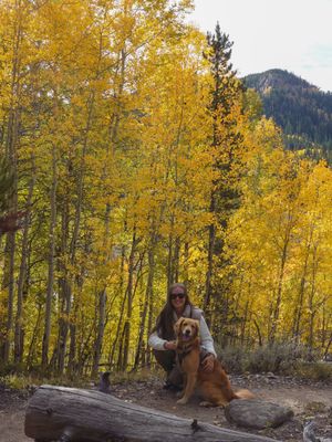 Image post by @coloradomountaintowns on Instagram