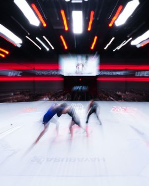 Image post by @ufcbjj on Instagram