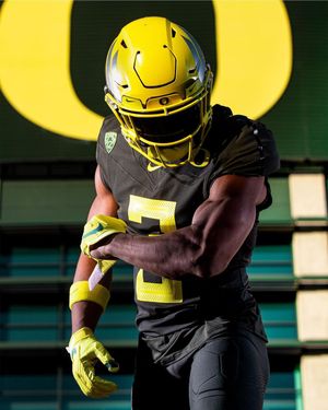 Image post by @goducks on Instagram