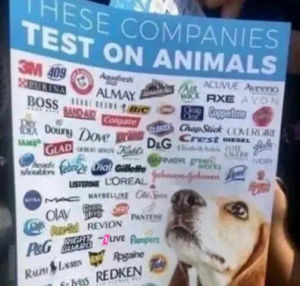 Image post by @1live on TikTok