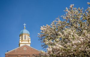 Image post by @school/university-of-dayton on LinkedIn