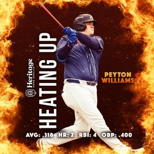 Image post by @fishercats on Instagram