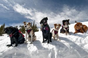 Image post by @breckenridgemtn on Instagram