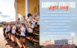 Image post by @GoCamels on Twitter