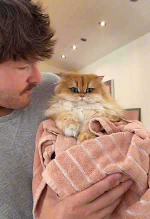 Video post by @lyssielooloo on TikTok