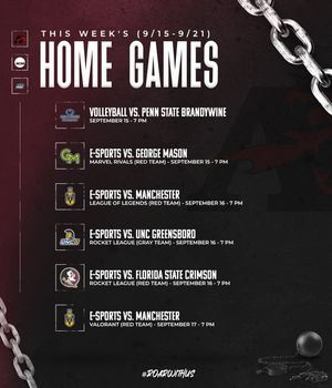 Image post by @albrightlions on Instagram