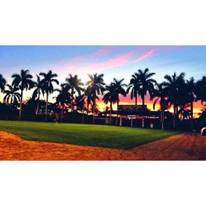 Image post by @fauathletics on Instagram