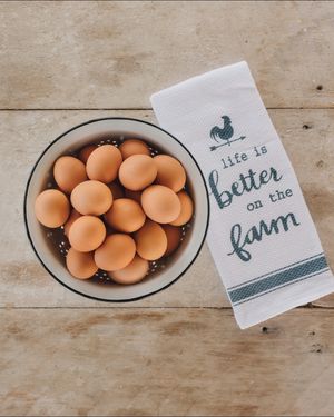 Image post by @conestoga_eggs on Instagram
