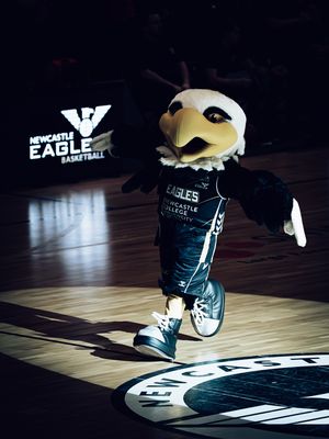 Image post by @gary__forster on Instagram