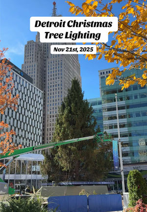 Video post by @raquel_escamilla on TikTok