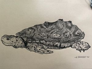 Image post by @mdfedart on Instagram