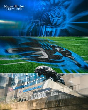 Image post by @panthers on Instagram