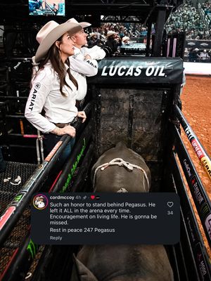 Image post by @pbr on Instagram