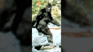 Video post by @thecw on YouTube