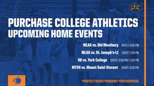Image post by @purchasecollegeathletics on Instagram