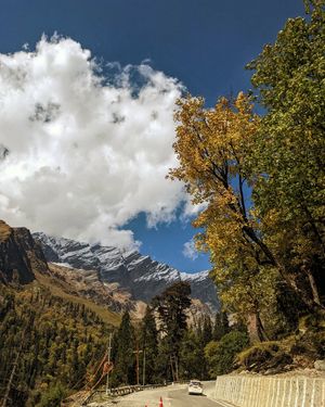 Image post by @namanfornature on Instagram