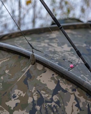 Image post by @brothercarp on Instagram