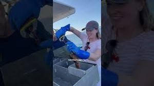 Video post by @bostonwithemily on YouTube
