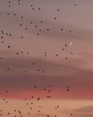 Image post by @azrabetul on Instagram