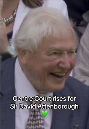 Video post by @wimbledon on TikTok