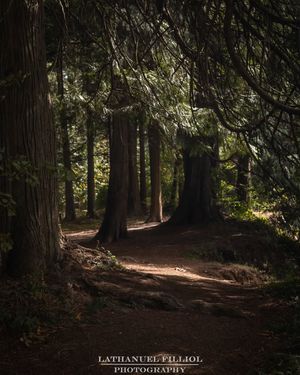 Image post by @lathanuelf_photos on Instagram