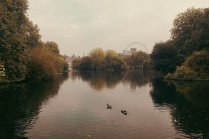 Image post by @josephnother on Instagram