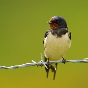 Image post by @rspb on Instagram