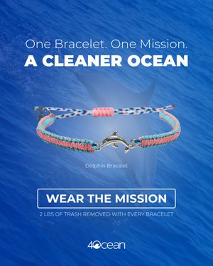 Image post by @4ocean on Instagram